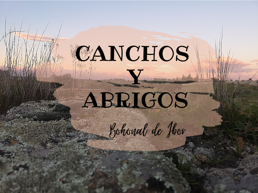 Imagen Libro Canchos y abrigos